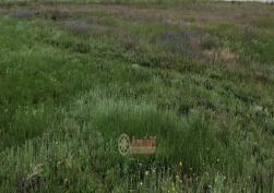 участок 66000 у.е.