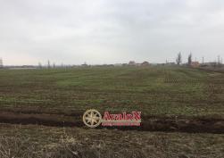 участок 6000 у.е.