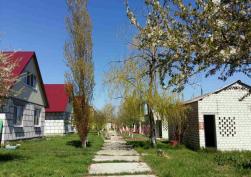 коммерческая недвижимость 200000 у.е.