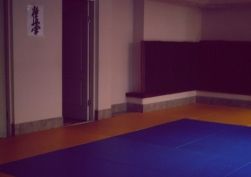 коммерческая недвижимость в Суворовском районе 51000 у.е.