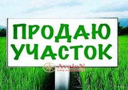 участок 7500 у.е.