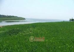 частный дом 40000 у.е.