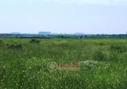 участок 5000 у.е.