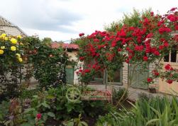 частный дом 25000 у.е.