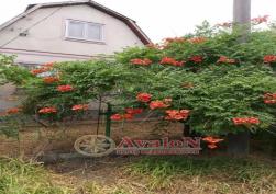 частный дом 21000 у.е.