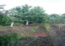 участок 2000 у.е.