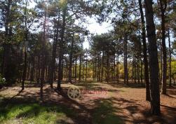 участок 195300 у.е.