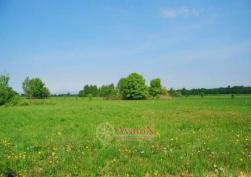 участок 4000 у.е.