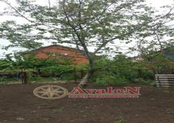 частный дом 40000 у.е.