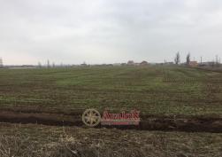 участок 5990 у.е.