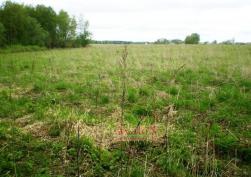 участок 30000 у.е.