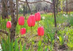 частный дом в Суворовском районе 140000 у.е.