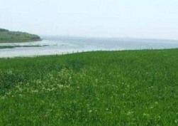 участок 1000 у.е.